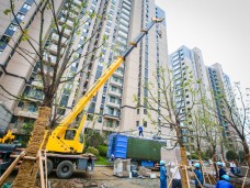 苏州本部锦溪苑五期20KV居配工程