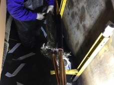 文正变124张桥线出线至国际教育园开闭所181开关间电缆抢修