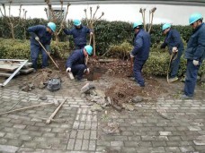 明溪路于苏街交叉口东北角电缆井基础维修