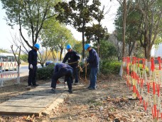 吴中区蒯祥路路灯114旁电缆井基础维修