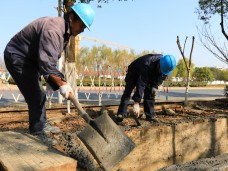 吴中区蒯祥路路灯114旁电缆井基础维修