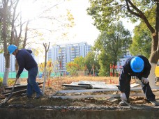 吴中区蒯祥路路灯114旁电缆井基础维修